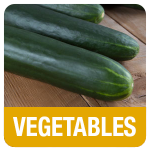 vegetables-2